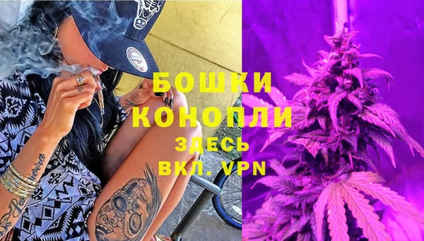 ешки Белокуриха